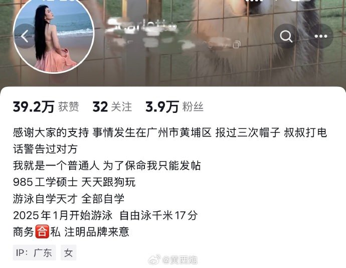 视频页信息流